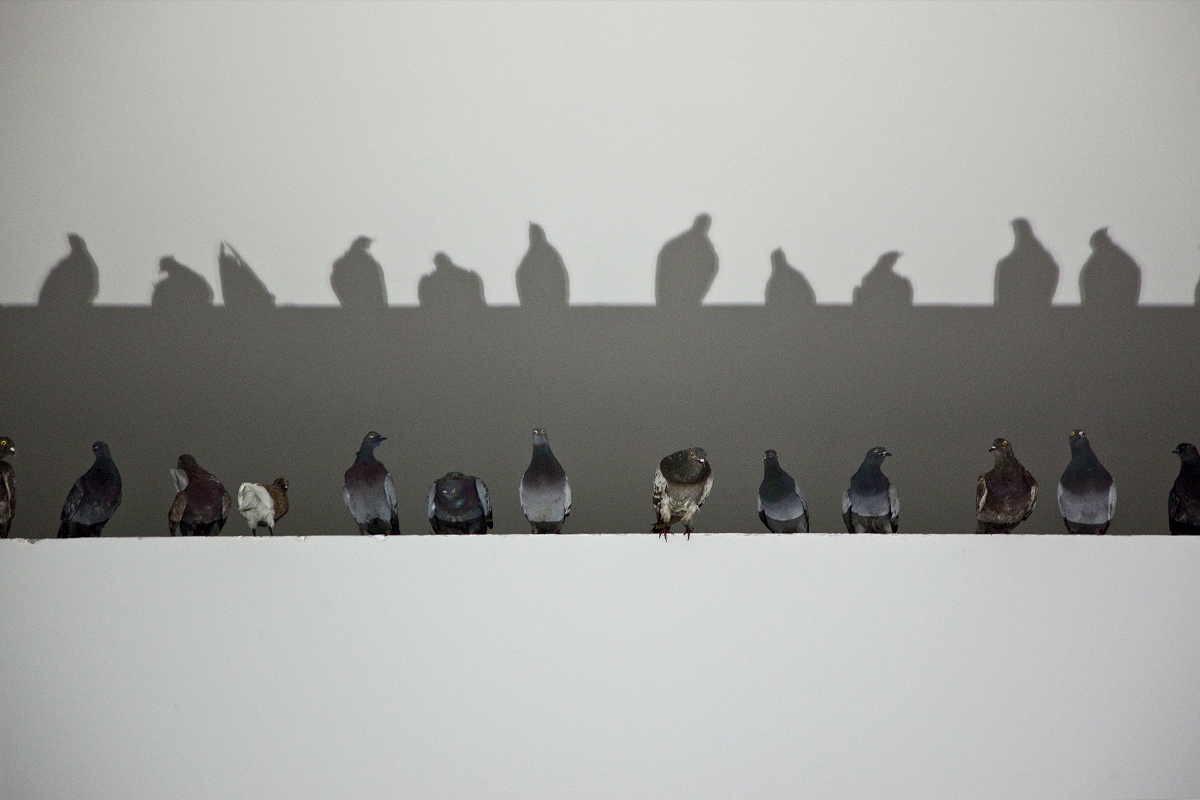 Maurizio Cattelan - Breath Ghosts Blind